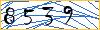 Enter the symbols from the picture