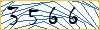 Enter the symbols from the picture
