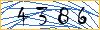 Enter the symbols from the picture